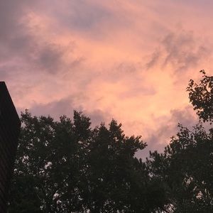 Meet your Posher, Karli